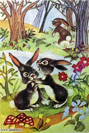 خرگوش کوچولو یکمرتبه برجای خود میخکوب شد